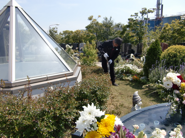 五月晴れ_b0263390_1532222.jpg