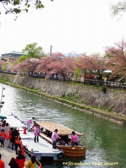 2014　春の京都散策　南禅寺～岡崎疎水_c0087094_17255798.jpg