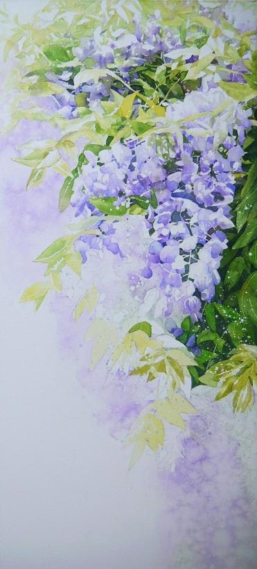 藤の花の過程 : 小林啓子水彩画の部屋