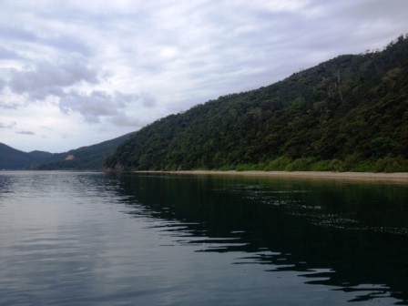 a0226396_18570264.jpeg