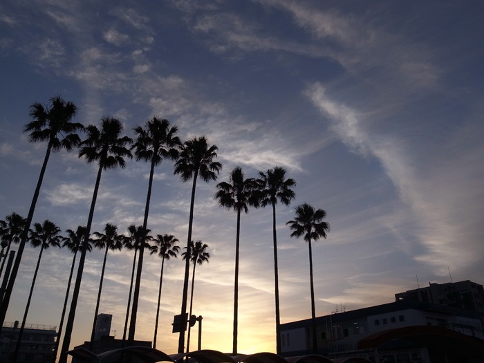 c0049299_22123021.jpg