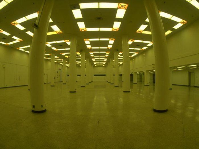 c0072801_3535858.jpg