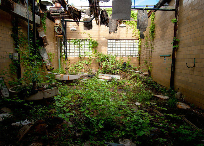 c0072801_492971.jpg