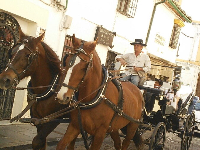 c0212604_1232914.jpg