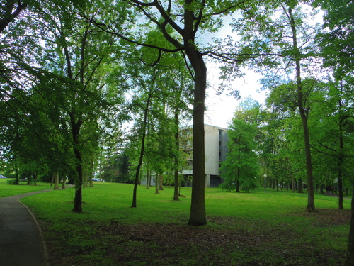 HECキャンパスのきれいな緑と花々 Beautiful Flowers and greens on HEC Campus_e0123104_1924597.jpg