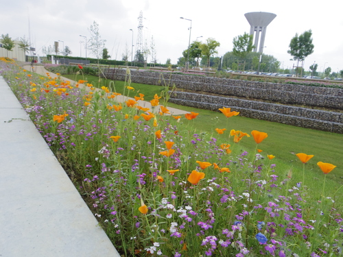 HECキャンパスのきれいな緑と花々 Beautiful Flowers and greens on HEC Campus_e0123104_19274852.jpg