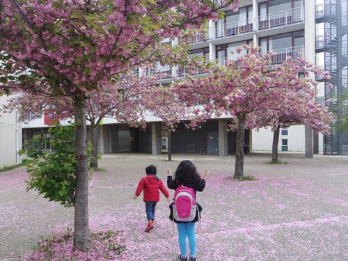 HECキャンパスのきれいな緑と花々 Beautiful Flowers and greens on HEC Campus_e0123104_19445675.jpg