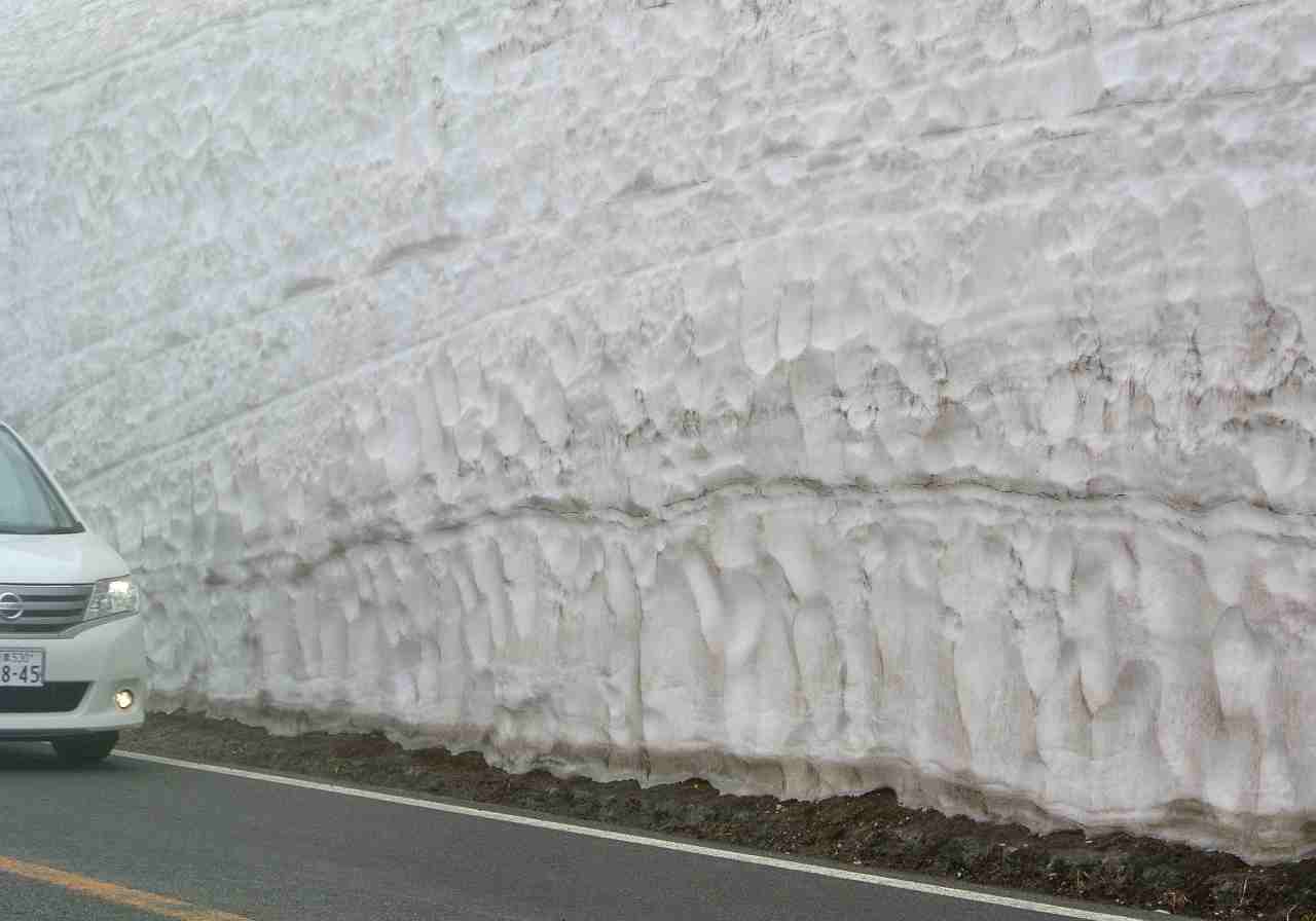 a0148206_832266.jpg