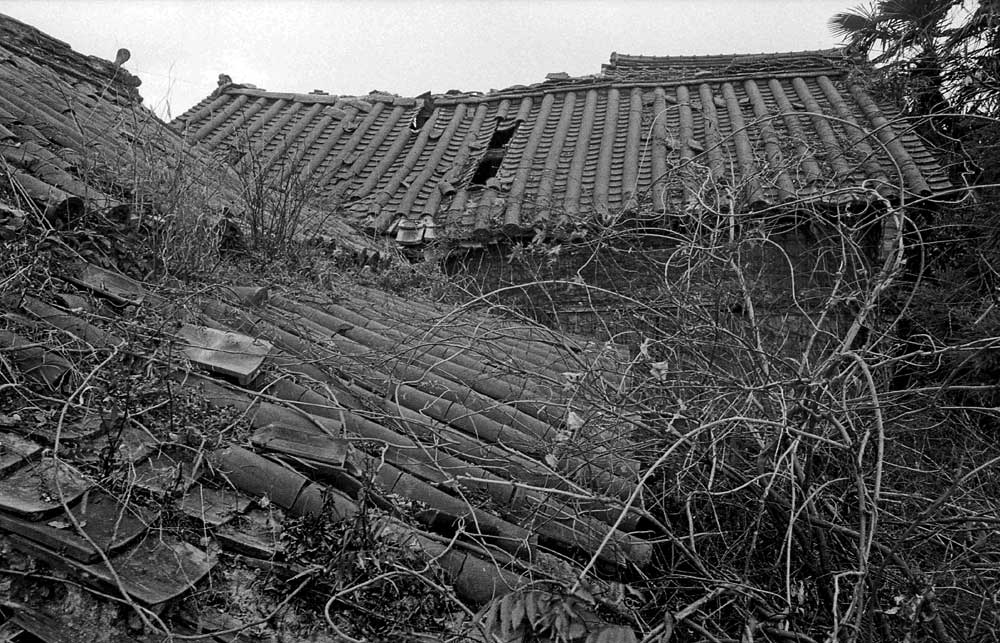 記憶の中から_b0144506_19431574.jpg