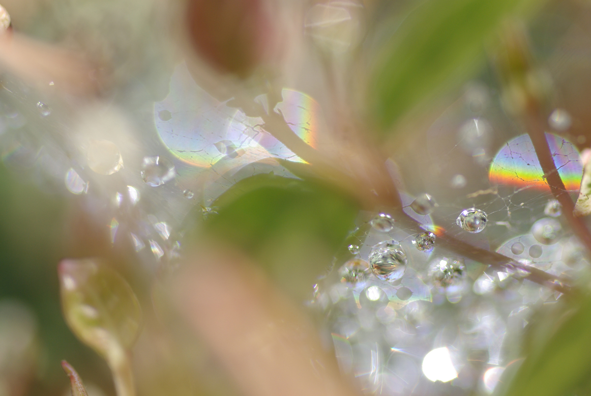 雨、あがる #4_f0155808_8444216.jpg