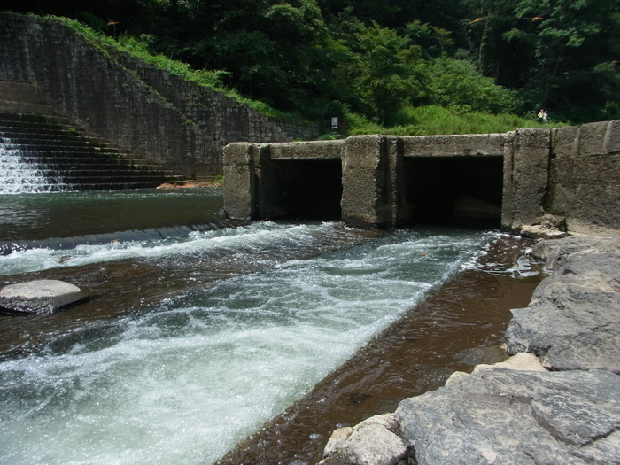 竹田市の美しいダム、白水溜池堰堤_d0116009_10141341.jpg