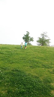 d0217110_2143379.jpg