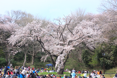 三ツ池公園_d0077811_21181510.jpg