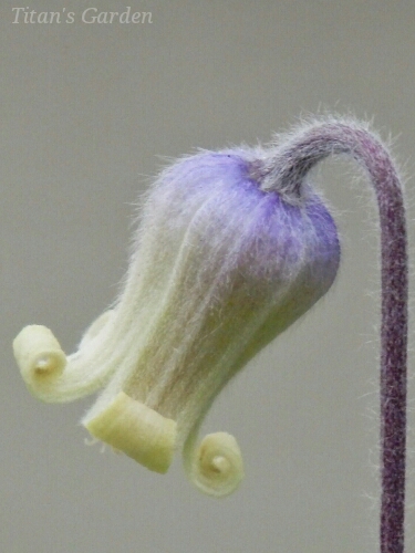 b0099813_014539.jpg