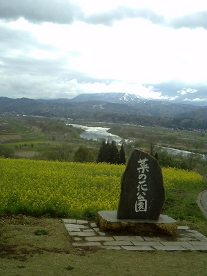 a0116217_2137267.jpg