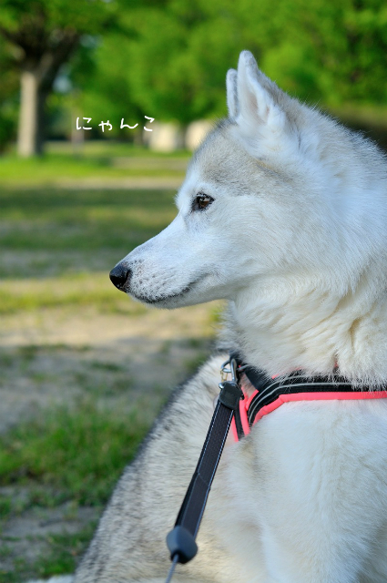a0047325_0283721.jpg