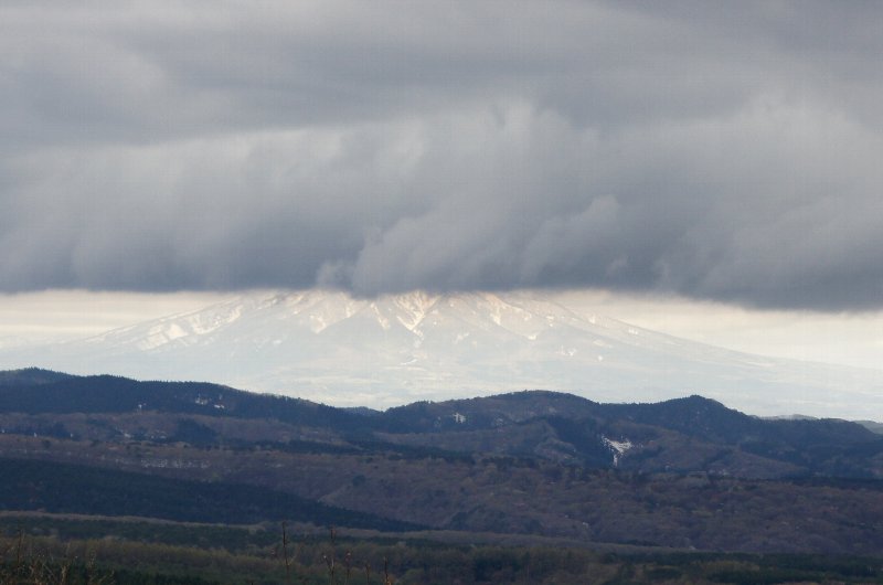 a0122932_7172684.jpg
