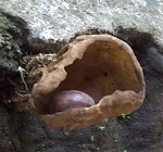 f0108133_7444875.jpg