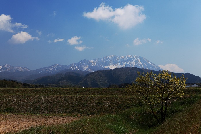 大山 初夏の装い_a0294534_190218.jpg