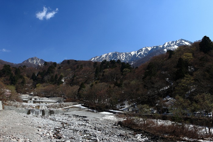 大山 初夏の装い_a0294534_1912111.jpg