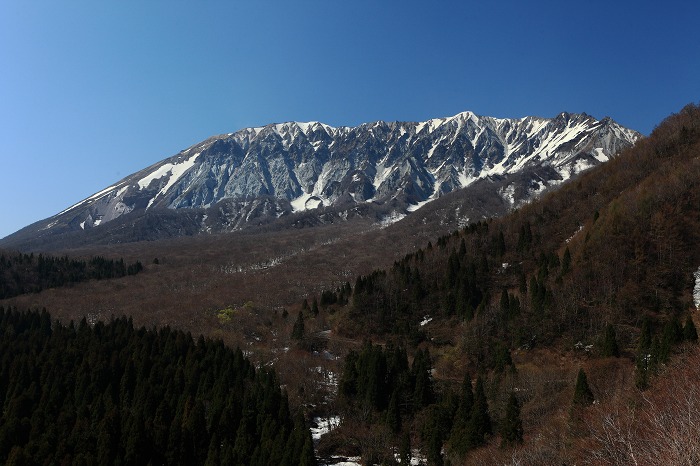 大山 初夏の装い_a0294534_19461819.jpg
