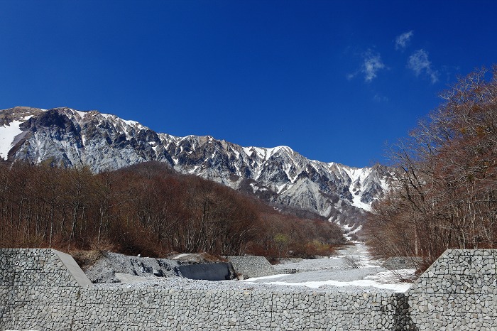 大山 初夏の装い_a0294534_1952312.jpg