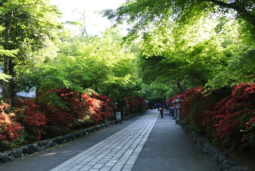 d0170835_1734238.jpg