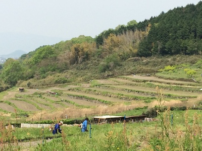 出雲の庚申塔華（こうしんとうげ）_a0237937_17331371.jpg