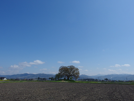 a0014840_121328.jpg