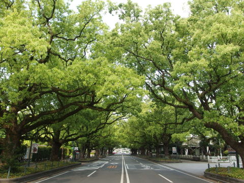 b0199742_5545345.jpg