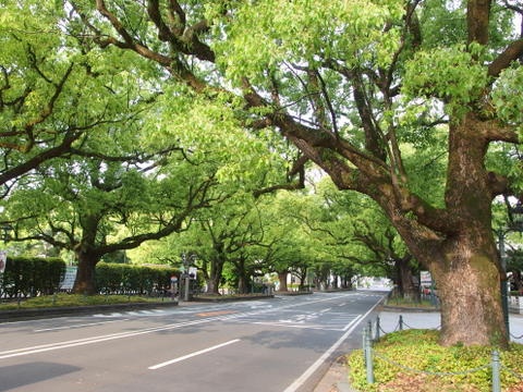 b0199742_5551427.jpg