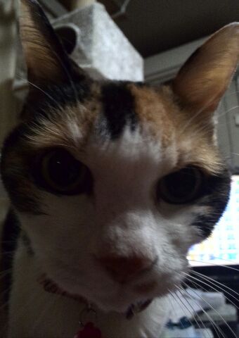 c0194042_2243666.jpg