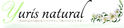 e0009547_01504925.png