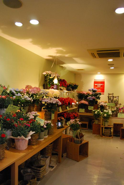 a0201358_1974149.jpg