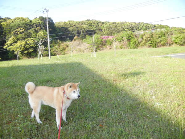 ’14,5,3(土)GWの第2ラウンドの始まり~!_f0060461_9145365.jpg