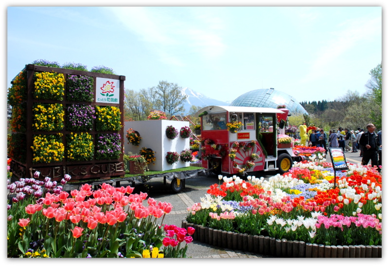 とっとり花回廊2014_a0050964_8144255.jpg