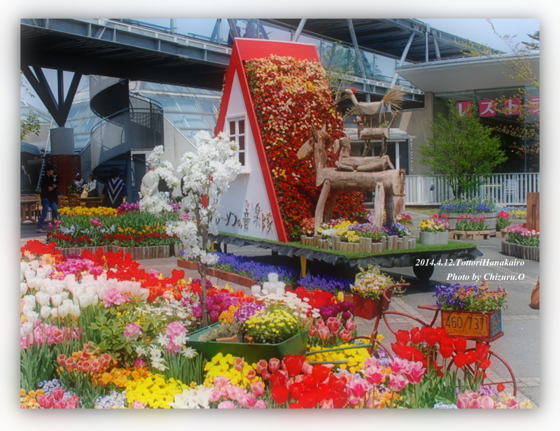 とっとり花回廊2014_a0050964_816298.jpg