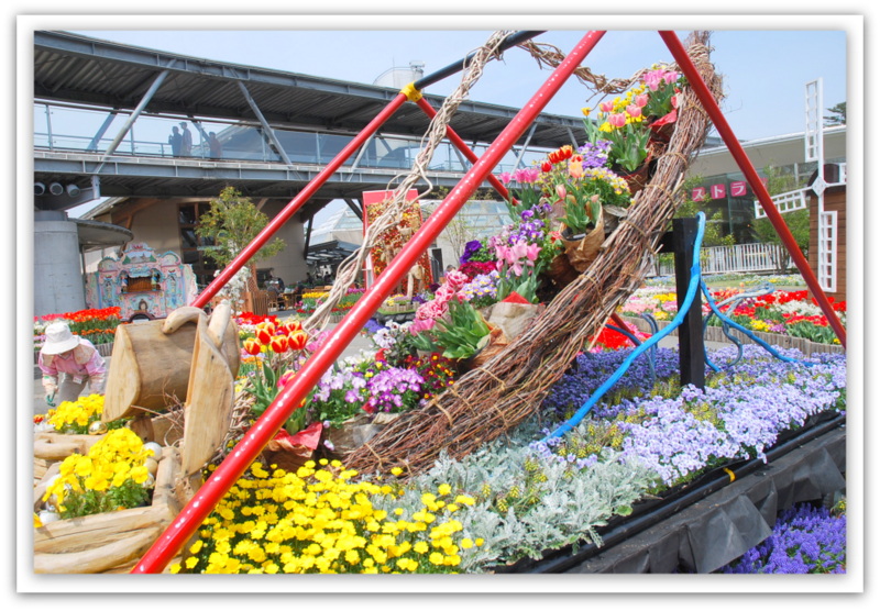 とっとり花回廊2014_a0050964_8241277.jpg