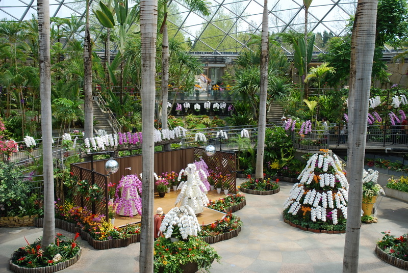とっとり花回廊2014_a0050964_8262257.jpg