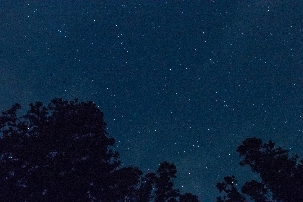 c0260264_6265280.jpg
