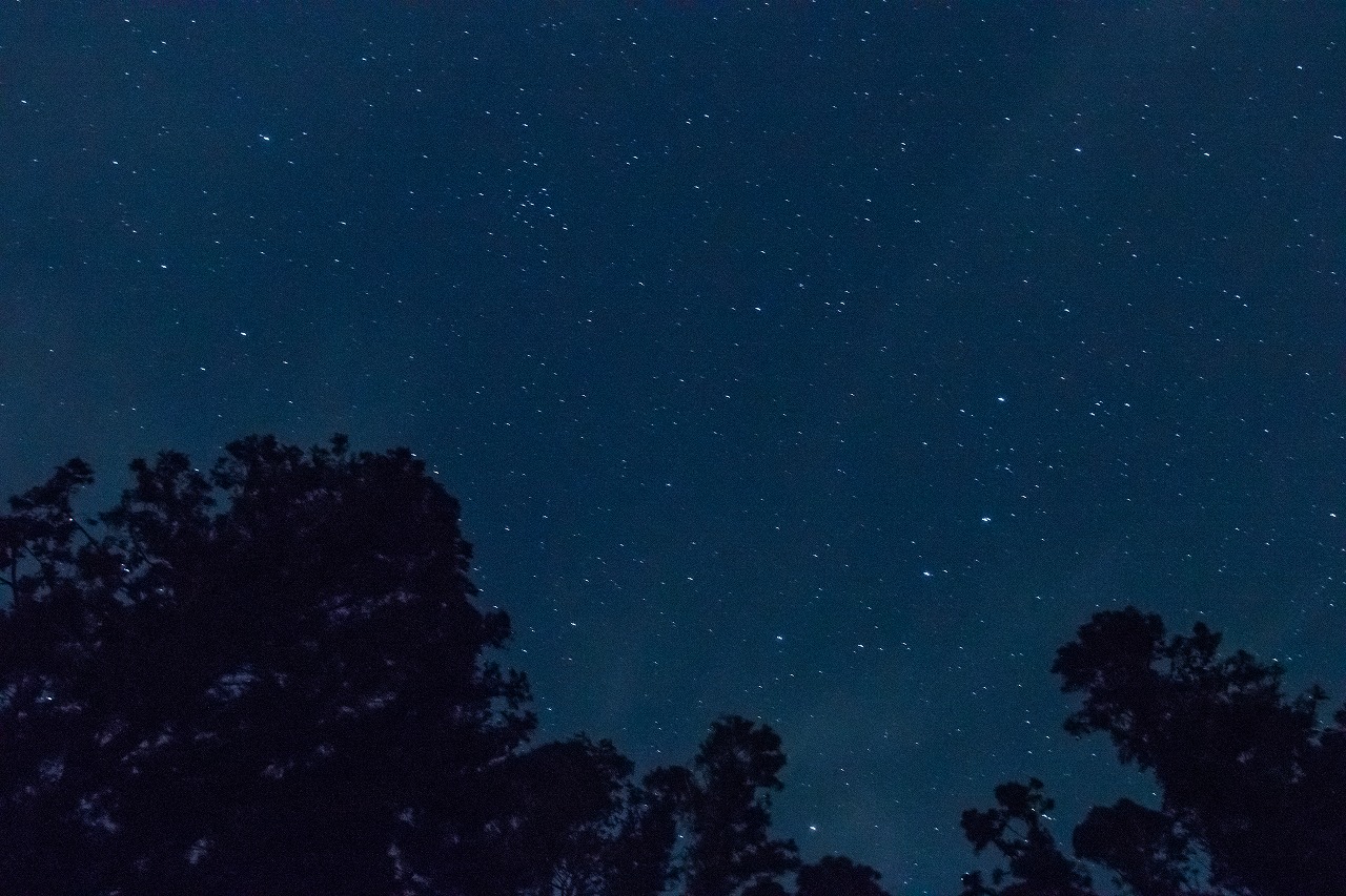 薄雲の夜に。_c0260264_6265280.jpg