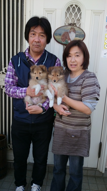 子犬のお迎え_a0139367_19542188.jpg