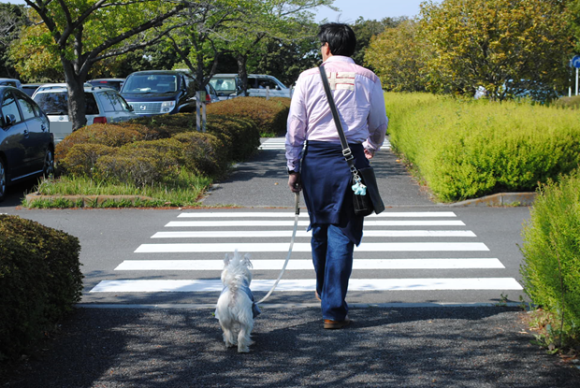 ♪ ダニエル  昭和記念公園・たくさんのチューリップ～(*^_^*) ♪_b0242873_09021401.png