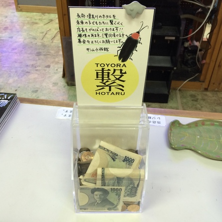 5/3 店長日記_e0173381_18395139.jpg