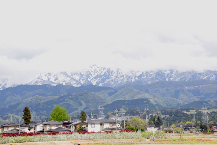 立山・剣はガスの中_d0178082_856513.jpg