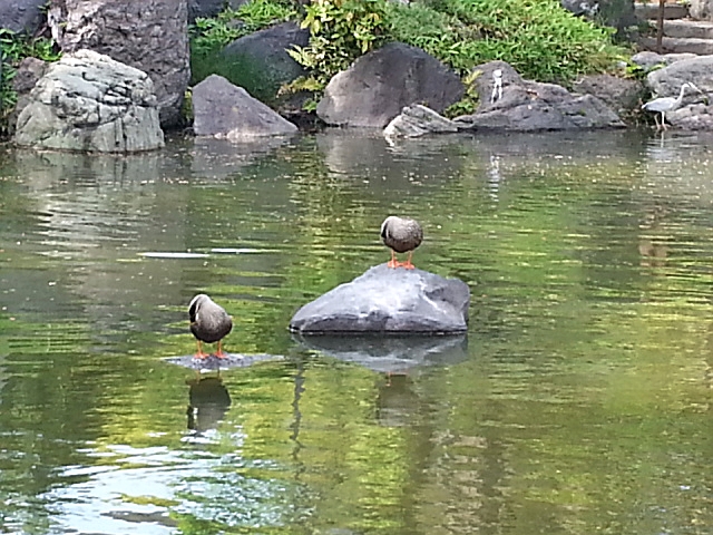 c0096685_20071130.jpg