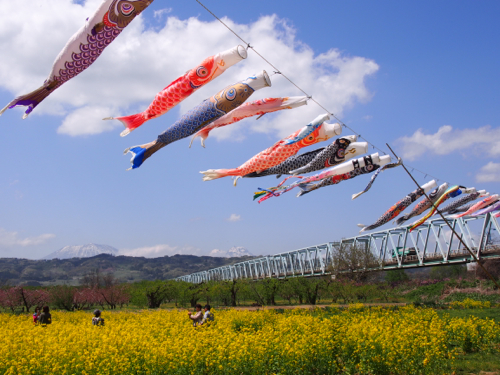 5月のお花見 小布施_d0133485_741513.jpg