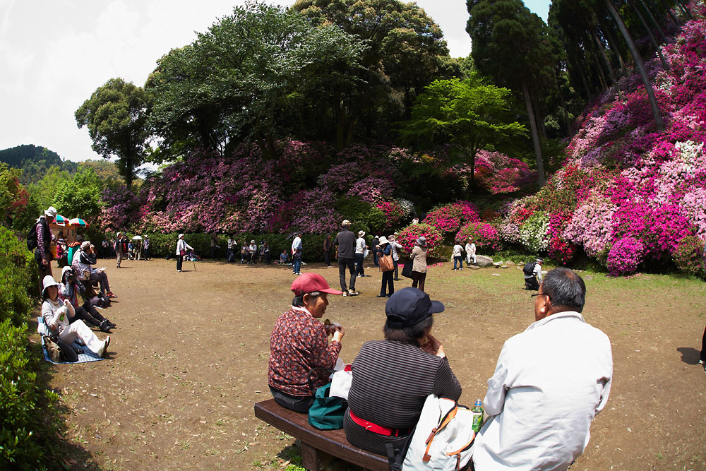 大興善寺_b0163788_114476.jpg