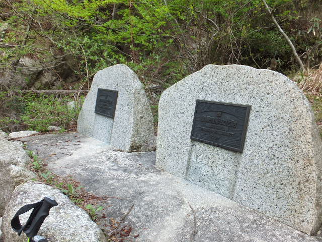 a0271502_5383559.jpg