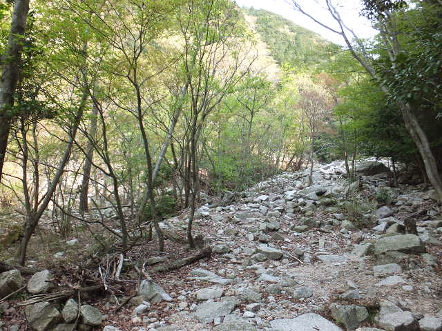 a0271502_5441029.jpg